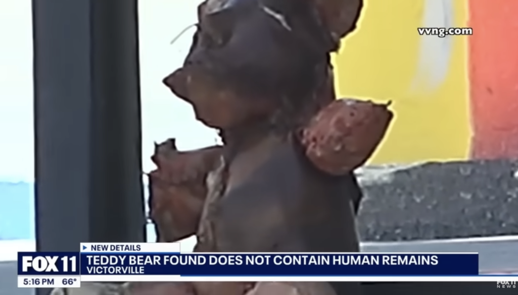 Scary teddy bear